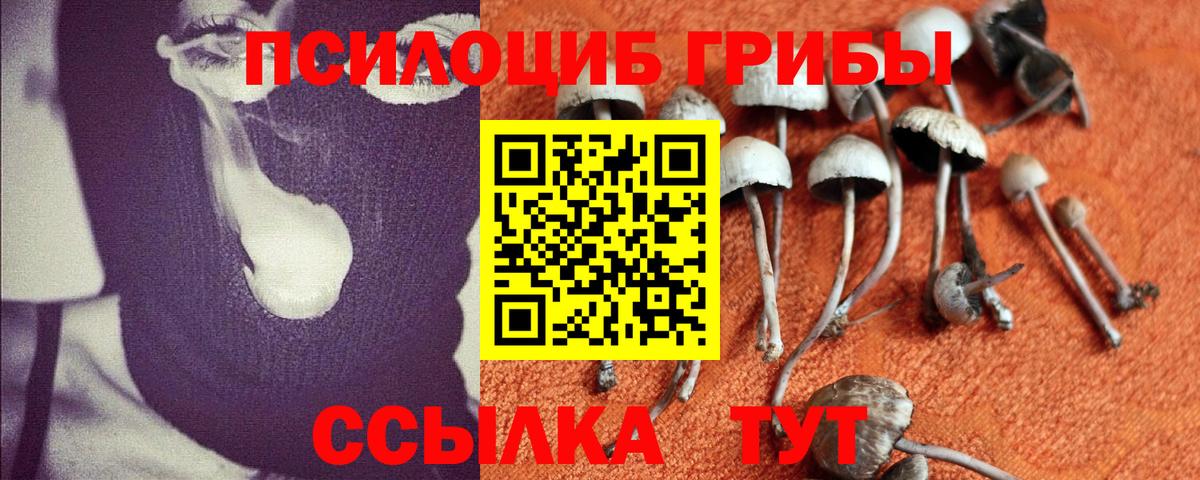 Галлюциногенные грибы прущие грибы  Псилоцибиновые грибы Magic Shrooms  Геленджик  Вход с VPN 