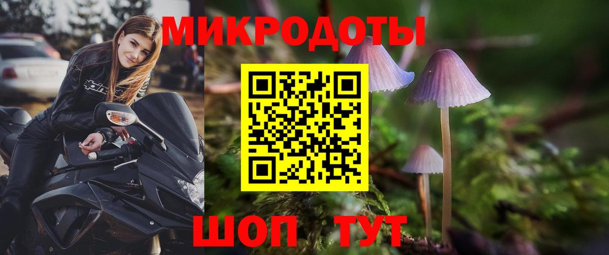 Галлюциногенные грибы ЛСД Геленджик